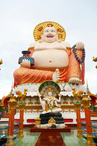 Mutlu Buda — Stok fotoğraf