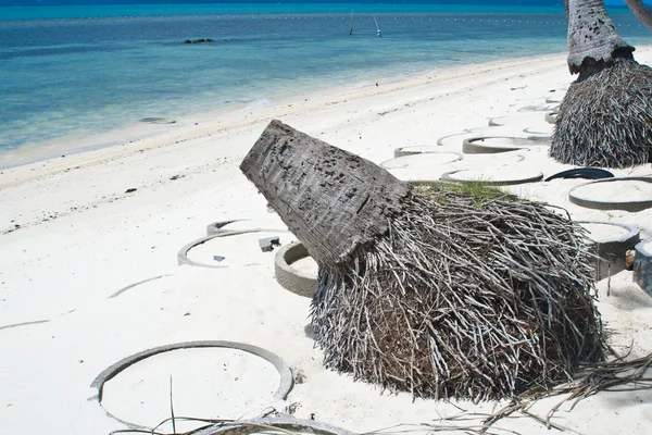 Isola di Samui — Foto Stock