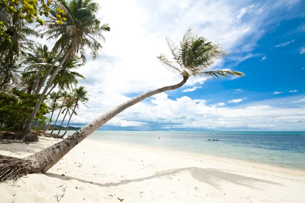 Isola di Samui — Foto Stock