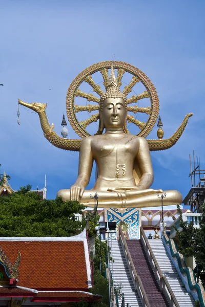Az arany nagy buddha — Stock Fotó
