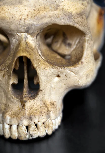 Grunge insan kafatası — Stok fotoğraf