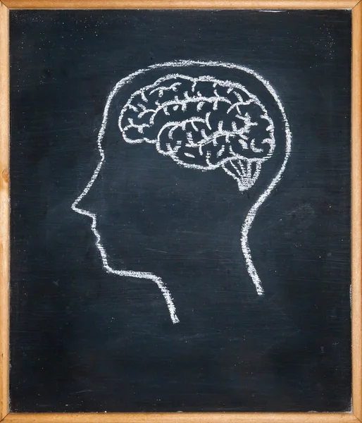 Desenho placa de giz de dentro da cabeça — Fotografia de Stock