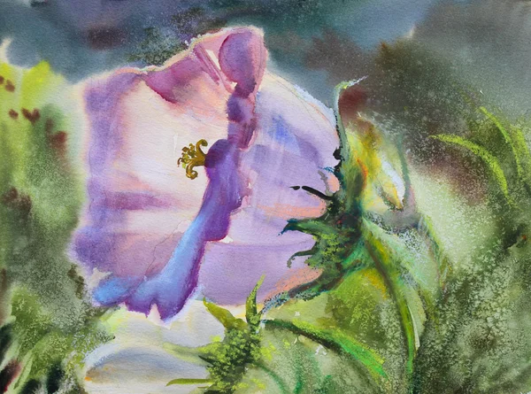 Watercolor painting of the beautiful flowers. — Stock Photo, Image