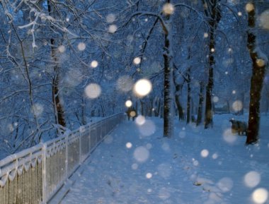 Alley in a park covered with snow and couple in walking in winter park in s clipart