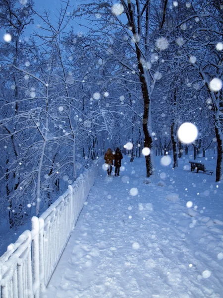 Beco em um parque coberto de neve e casal em caminhada — Fotografia de Stock