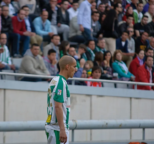 Javier Hervás W(23) in action during match league Cordoba vs Hercules — Stock fotografie