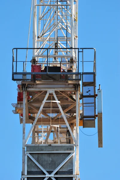 stock image Crane close up