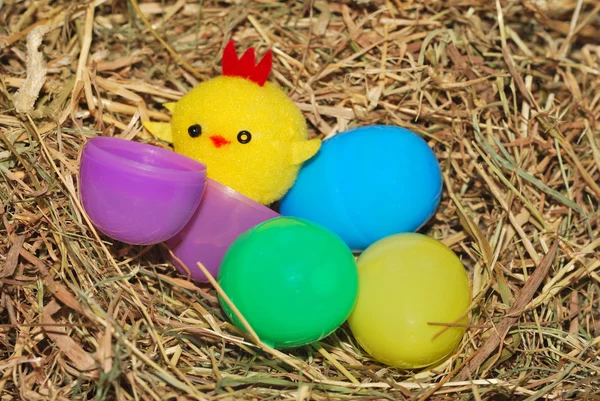Toy chick and eggs — Stock Photo, Image