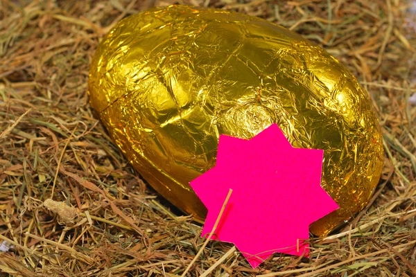 Huevo de Pascua con estrella — Foto de Stock