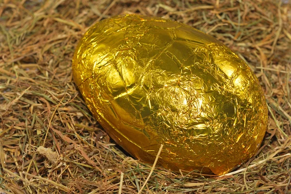 Golden egg on straw — Stock Photo, Image