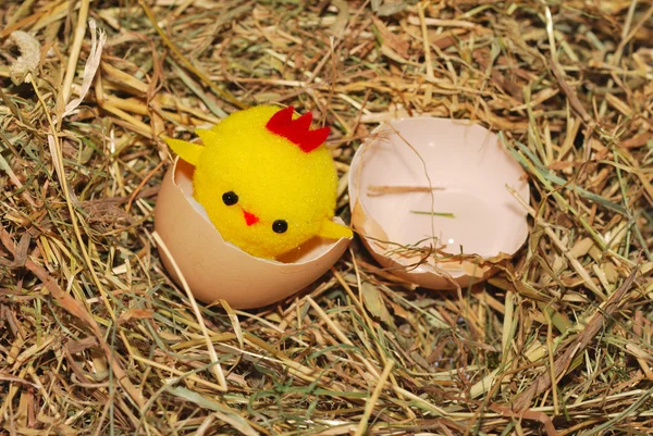 Toy chick hatching — Stock Photo, Image