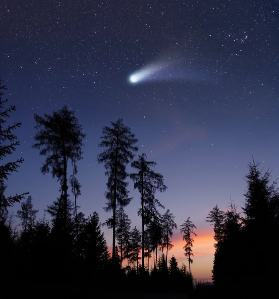 Un cometa en el cielo nocturno —  Fotos de Stock