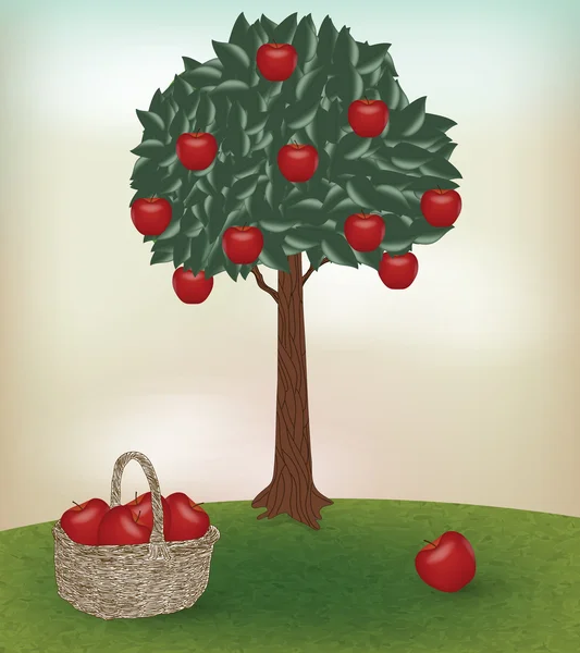 Apfelzeit — Stockvektor