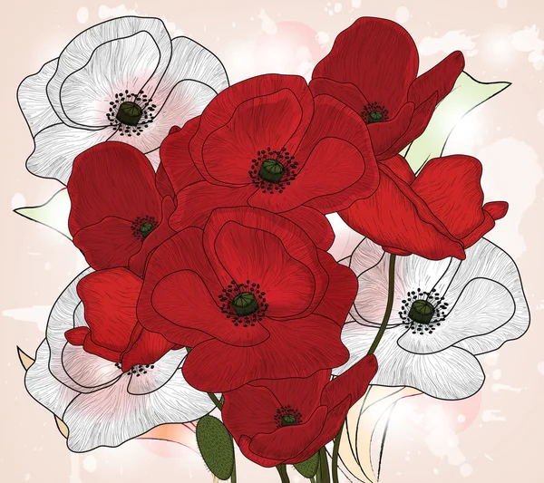 Hand drawn vintage poppies composition — Stock Vector