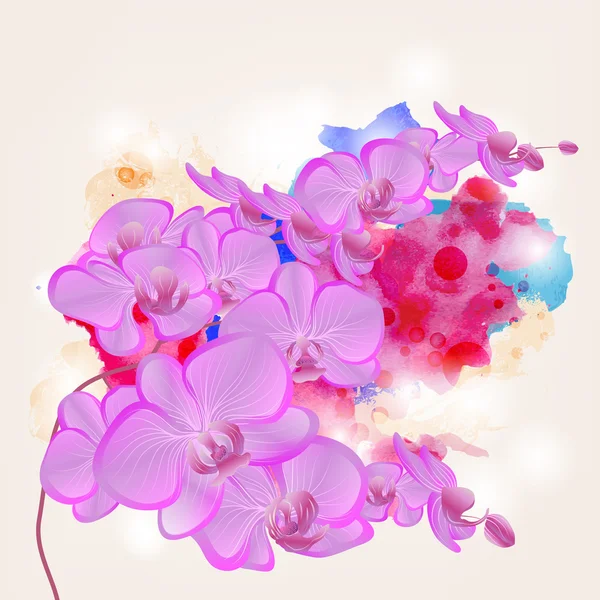 Orchid branch on a grunge watercolors background — Stock Vector