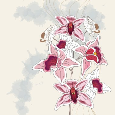 Artistic branch of orchid clipart