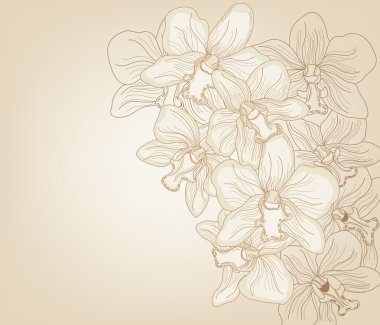 Hand drawn orchid background clipart