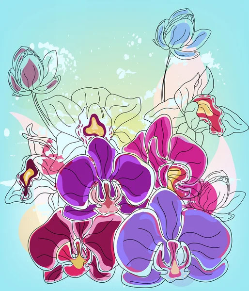 Artistic composition of orchids — Stock Vector