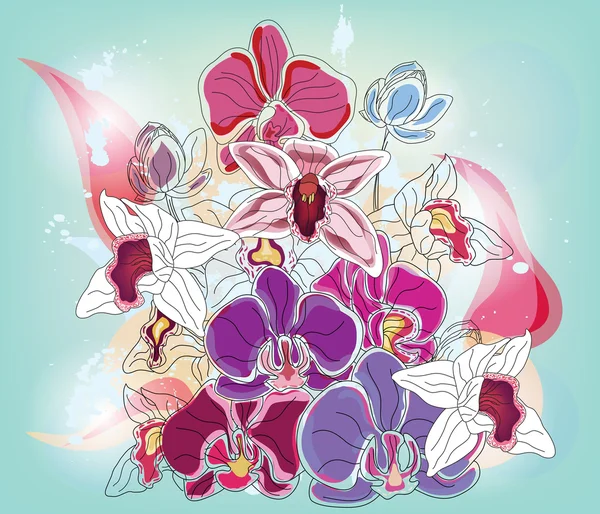 Bouquet artistique d'orchidées — Image vectorielle