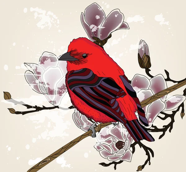 멋쟁이 새의 일종와 목련 분기와 아름 다운 그림 — 스톡 벡터