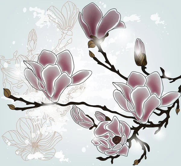 Magnolia branch — Stockvector