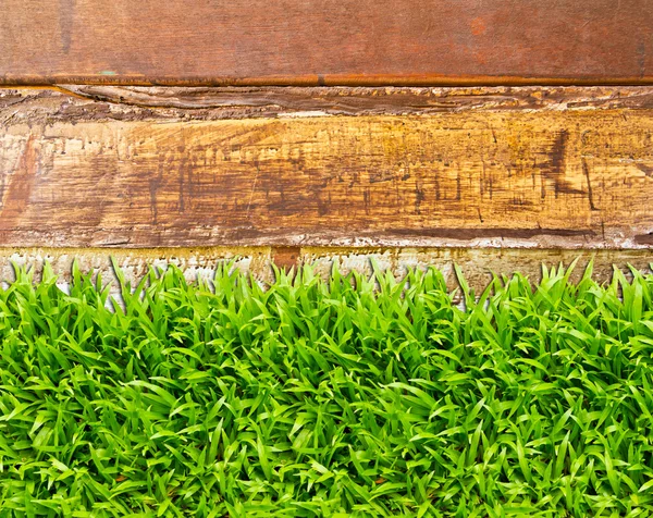 Hierba verde sobre fondo de madera — Foto de Stock