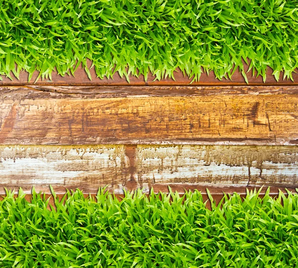 Hierba verde sobre fondo de madera — Foto de Stock