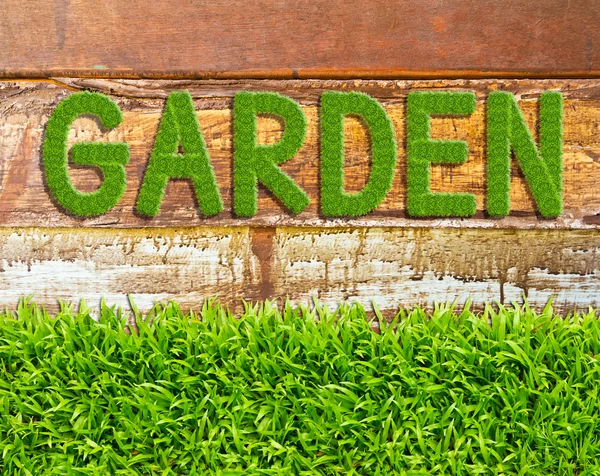 Grönt gräs trädgård word på trä bakgrund — Stockfoto