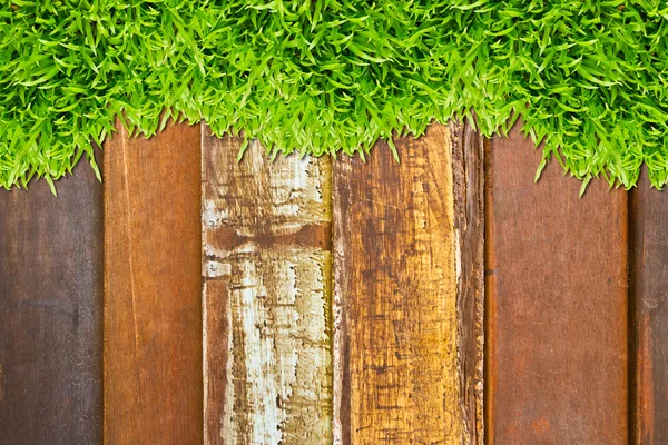 Hierba verde sobre fondo de madera —  Fotos de Stock