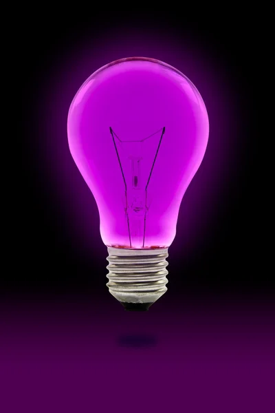 Purple light bulb — Stock Photo, Image