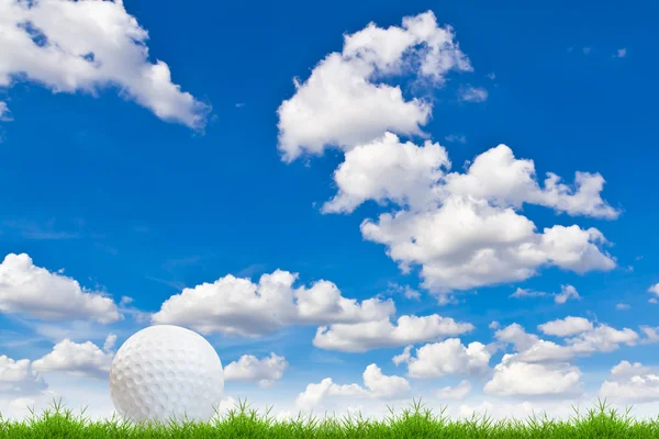 高尔夫球在球棒上反对蓝天绿草 — 图库照片