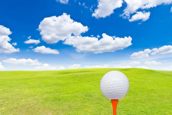 Golf topu ve yeşil çim sahada — Stok fotoğraf