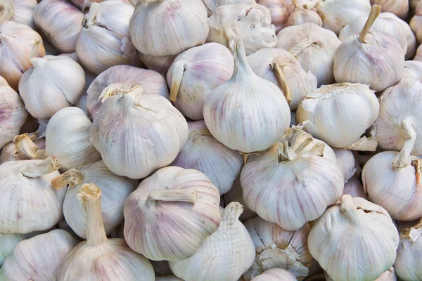 stock image Pile of garlic in market