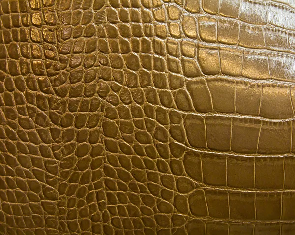 鳄鱼皮结构 — 图库照片