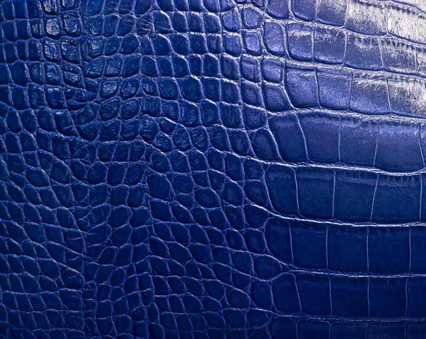鳄鱼皮结构 — 图库照片