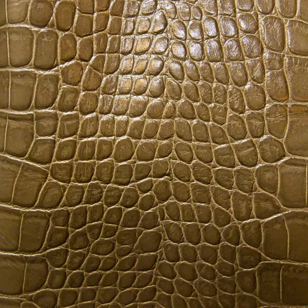 Texture della pelle di coccodrillo — Foto Stock