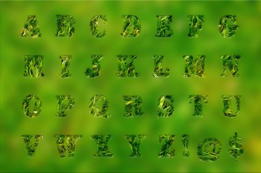 mektuplar, yeşil çim ve yosun