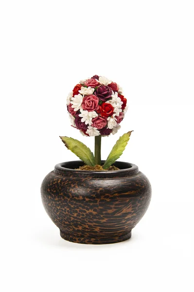 Flor de rosa em vaso de madeira isolado no fundo branco — Fotografia de Stock