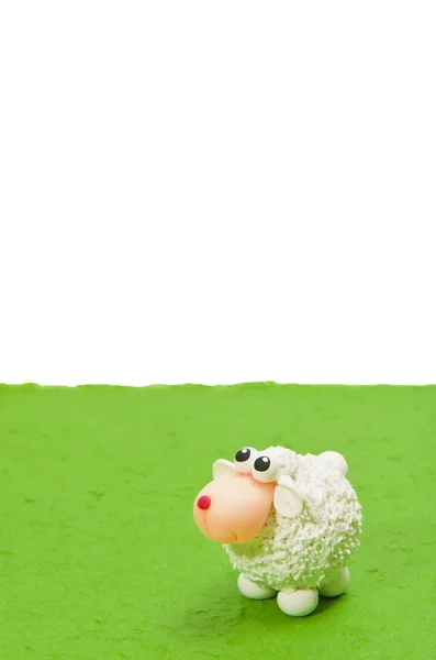 Ovelha branca na grama verde olhar para cima área em branco — Fotografia de Stock