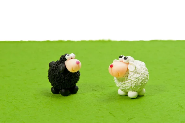 stock image Black and White sheep on green grass look up blank area