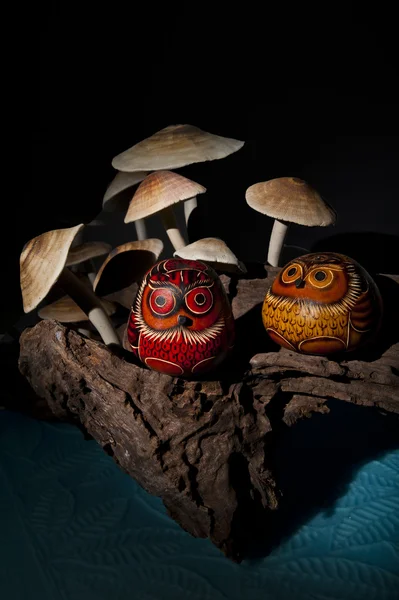 Twee uilen in het donker op stumpy met paddestoel — Stockfoto