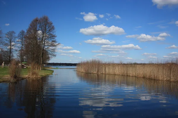 Litwa, druskininkai. park Grutas oddalony. — Zdjęcie stockowe