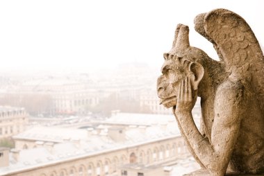 Paris Notre Dame cathedra chimere