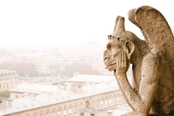 Paris Notre Dame cathedra chimere — Stok fotoğraf