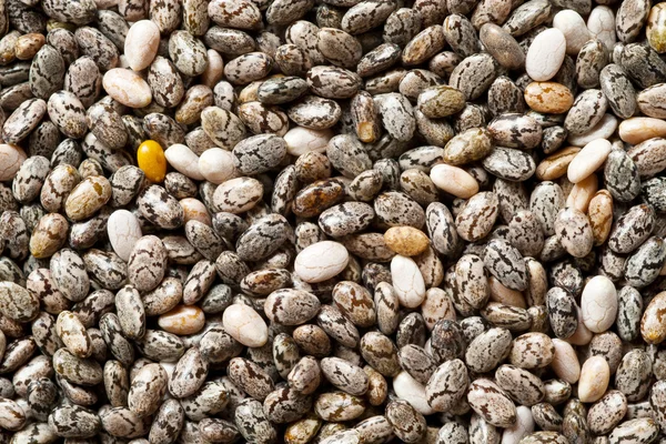 Chia seeds. — Stock Photo, Image