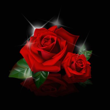 Beautiful red roses clipart