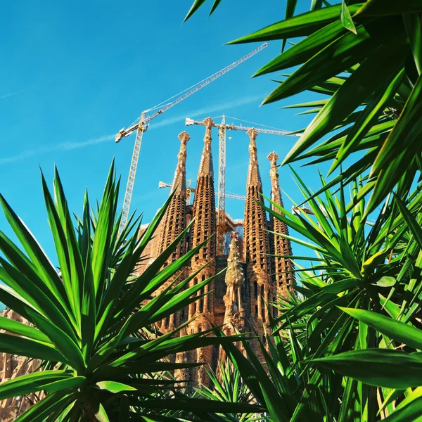 Sagrada Familia, บาร์เซโลนา - สเปน — ภาพถ่ายสต็อก