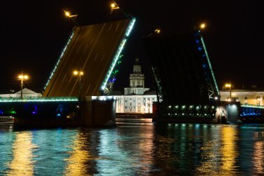 Saray nehir neva gece köprüde. Saint-petersburg. Rusya