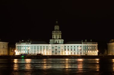st. petersburg gece manzarası. neva Nehri. Rusya