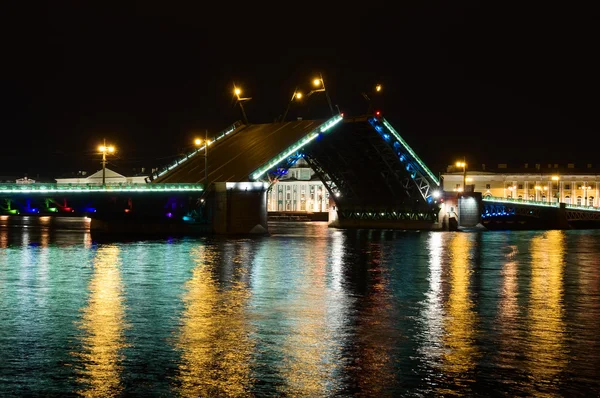 üreme palace bridge. st. Petersburg gece. Rusya